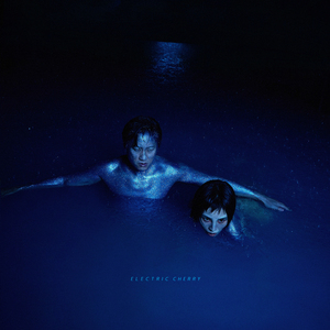 精品一区二区三区密桃
